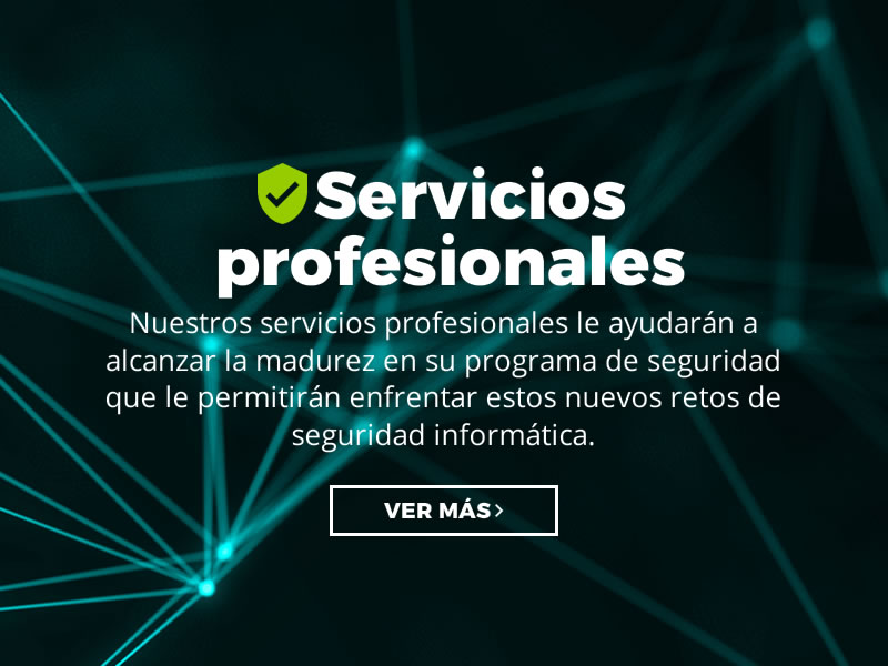 Servicios profesionales