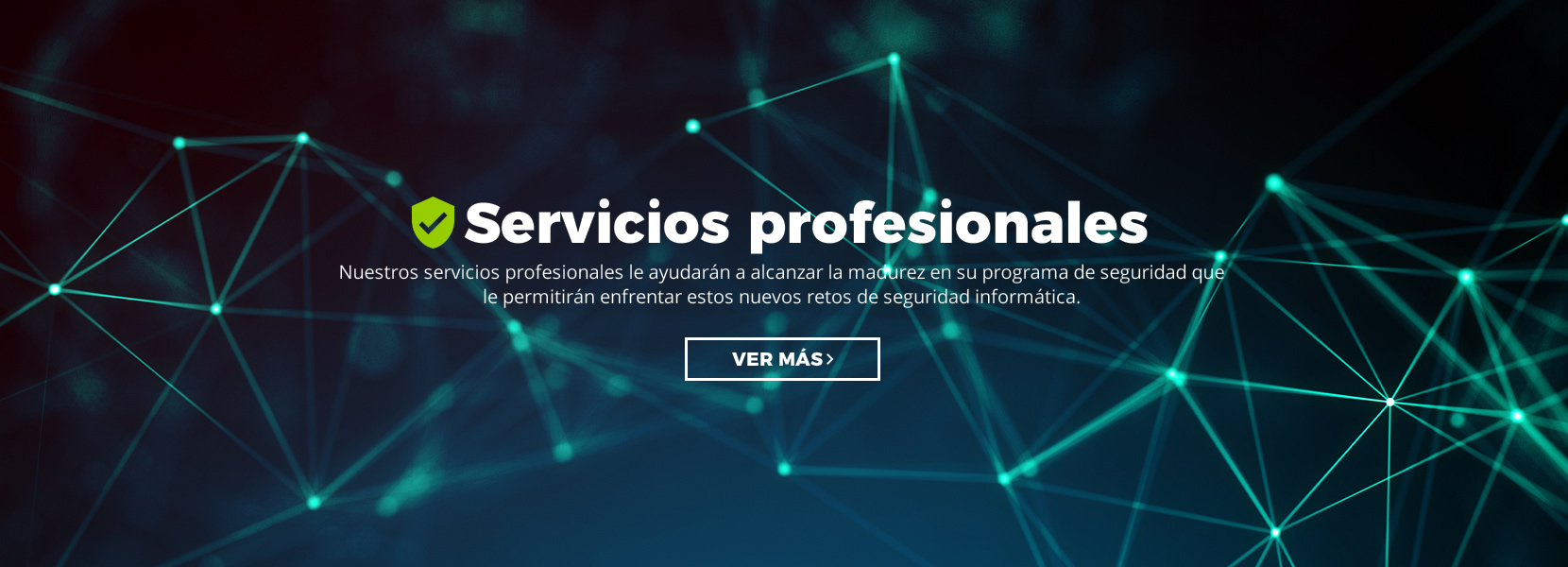 Servicios profesionales